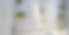 Mas-des-Citronniers2025-2500_0000s_0006_4O4A6684